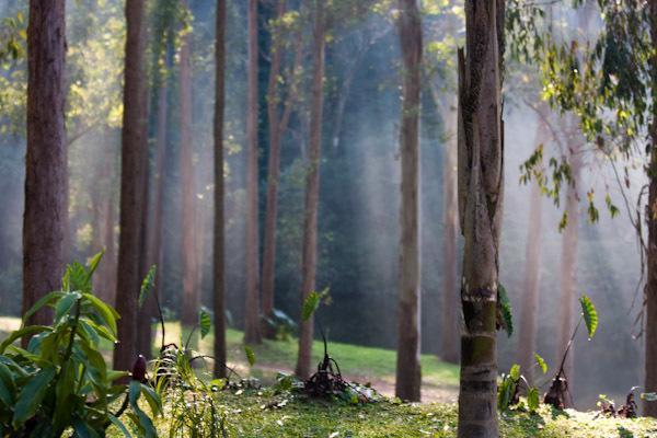 Вілла Fazenda Montanhas Do Japi Cajamar Екстер'єр фото